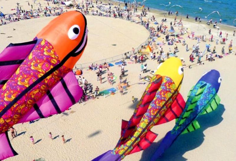 immagine offerta Riziana